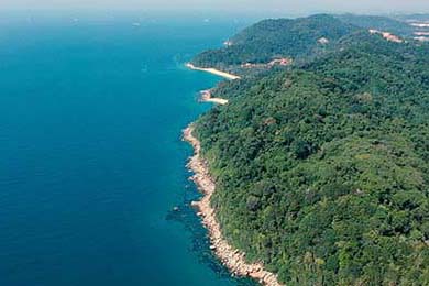 丁俊晖宣布将参加新加坡大师赛，丁俊晖新闻